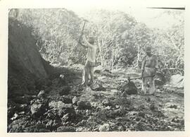 BR MTAPMT COL-200-250-251-00016 1