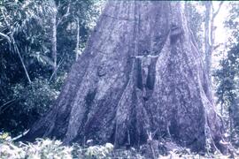 'BR MT APMT.JRC.CD.JV.0010 2