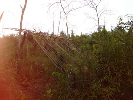 BR MT APMT.JRC.SM.PRF.0212 12
