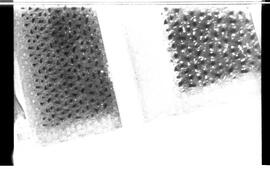 BR MTAPMT.SCS.918.2-31320 5