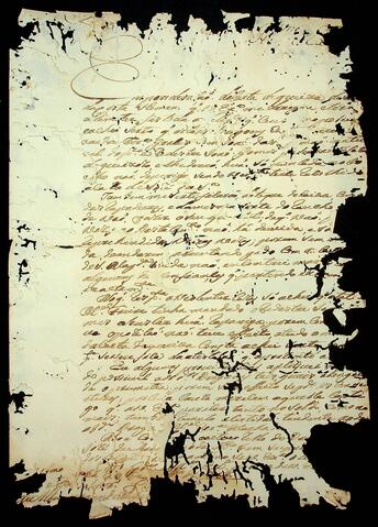 Open original Document numérique