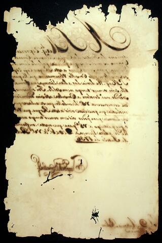 Open original Document numérique