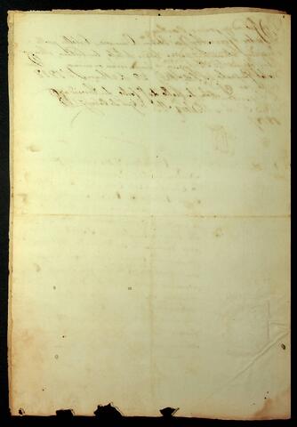 Open original Document numérique