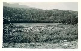 BR MTAPMT COL-200-210-211-00033 1