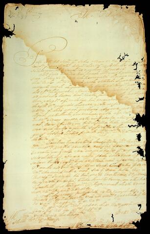 Open original Document numérique