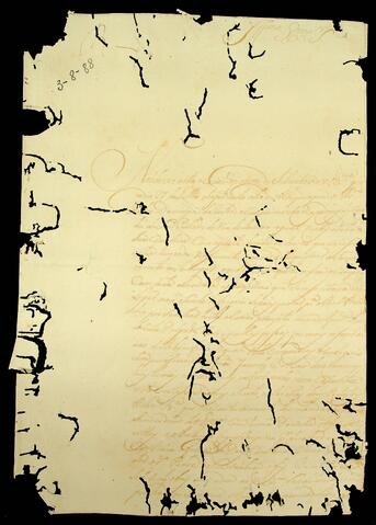 Open original Document numérique