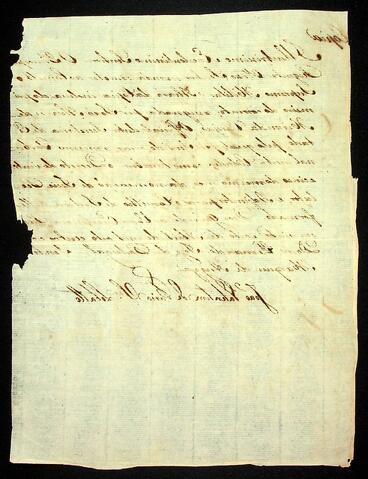 Open original Document numérique