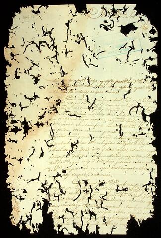 Open original Objeto digital