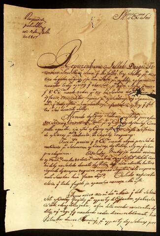 Open original Document numérique