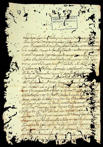 Open original Document numérique