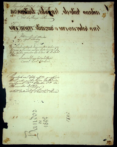 Open original Objeto digital