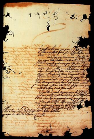 Open original Document numérique