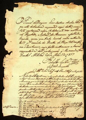 Open original Document numérique