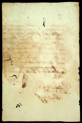 Open original Document numérique