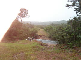 BR MT APMT.JRC.SM.PRF.0212 6