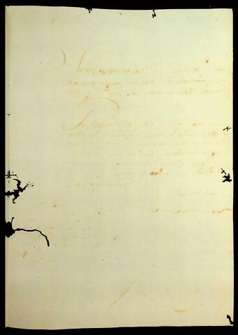 Open original Document numérique