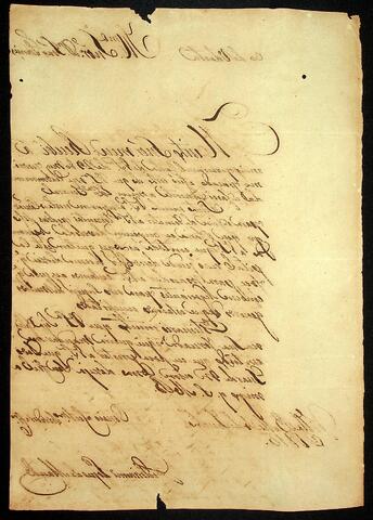 Open original Document numérique