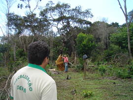 BR MT APMT.JRC.SM.PRF.0212 2