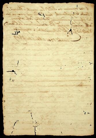 Open original Document numérique