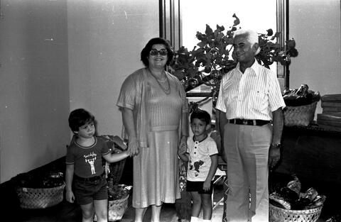 Open original Document numérique