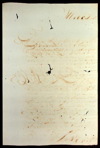 Open original Document numérique