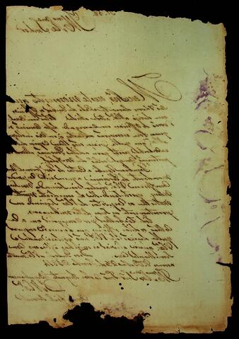 Open original Document numérique