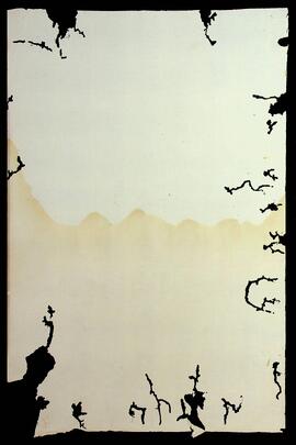 BR MTAPMT SG-OM-2596 7